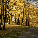 Scenery Montville Duchek 2174